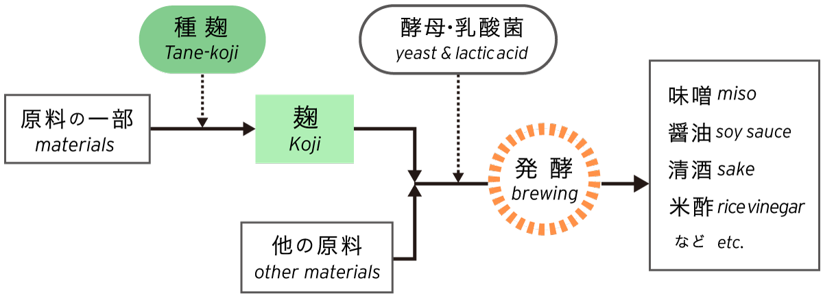 Overview of fermented food production method