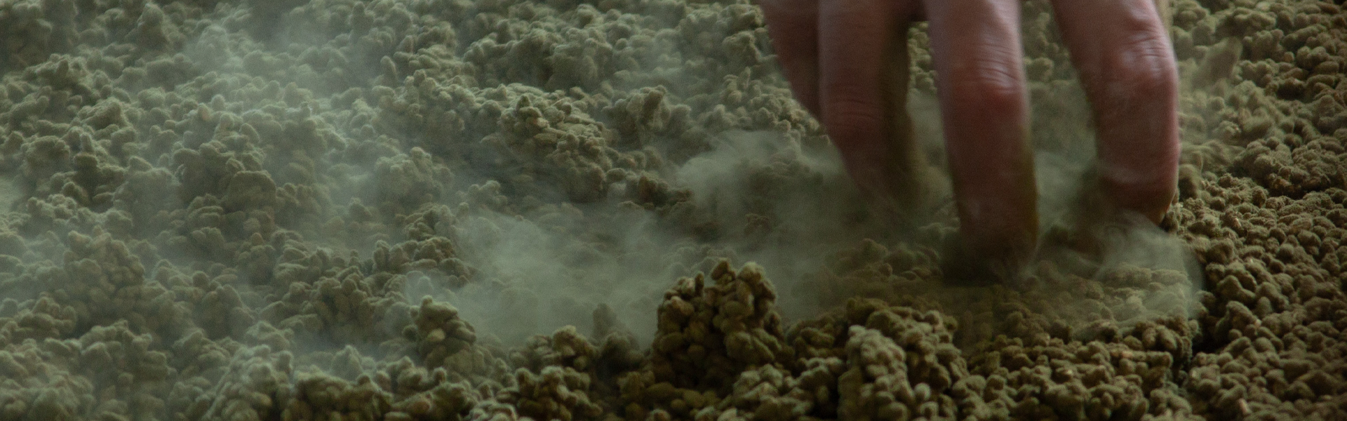 What is Koji & Tane-koji?