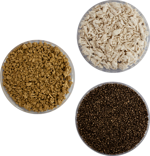 Application of fermentation technology using tane-koji